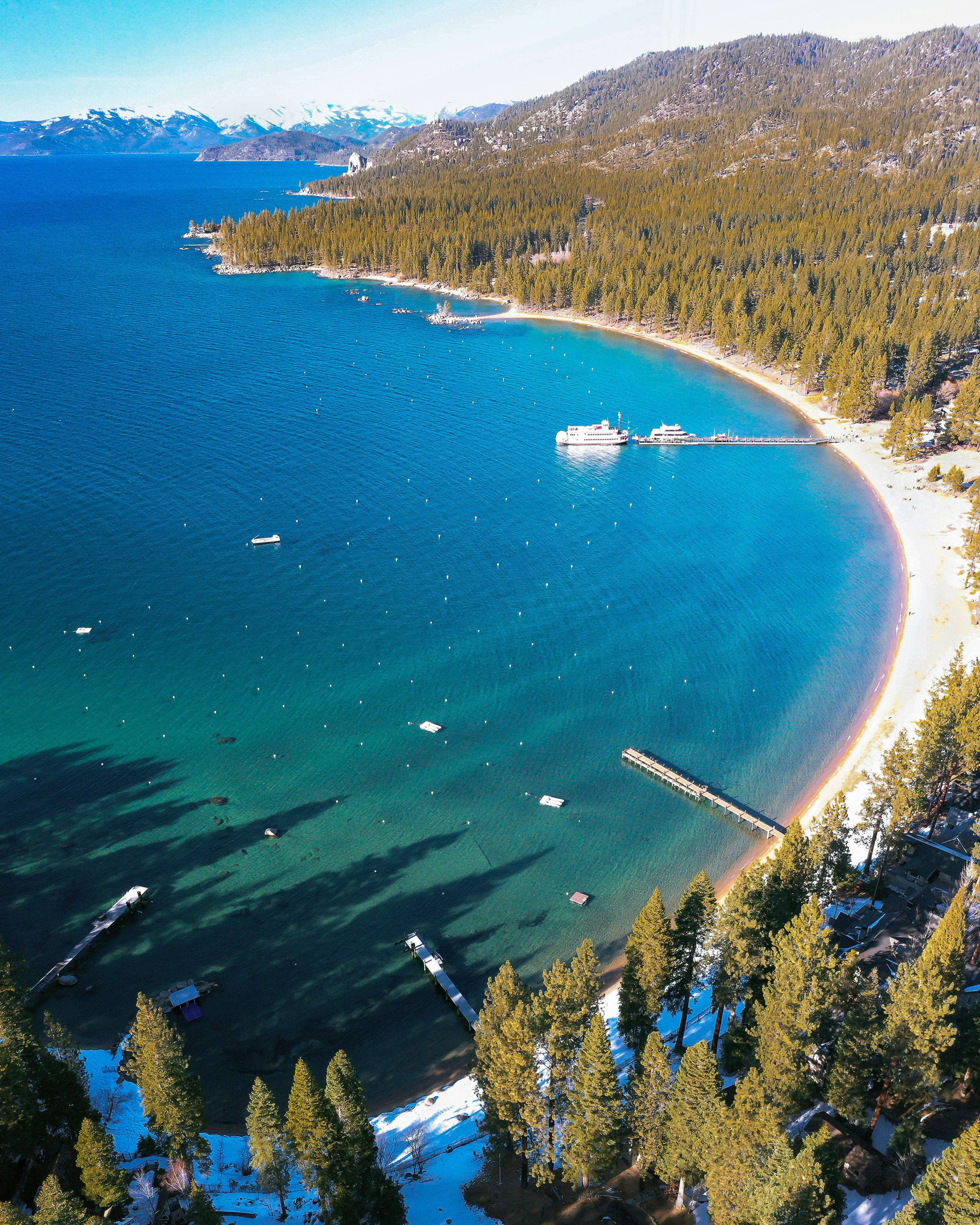 aerial view of green trees beside body of water during daytime